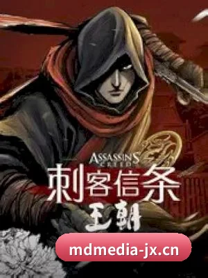 🌟 持续发现精彩